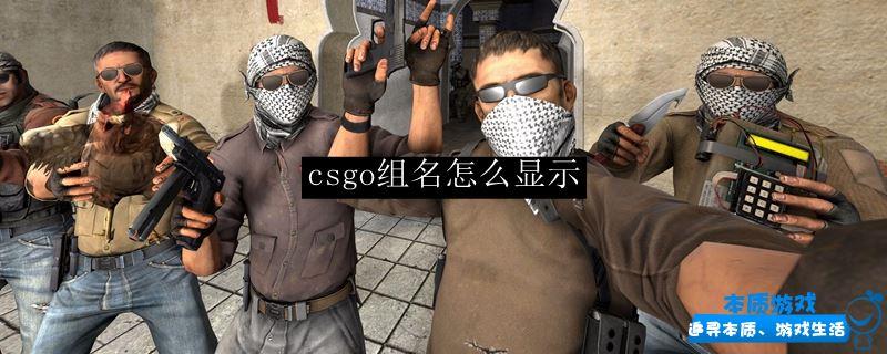 csgo組名怎么顯示